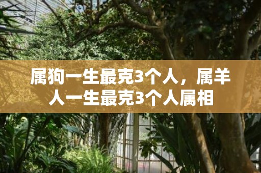 属狗一生最克3个人，属羊人一生最克3个人属相