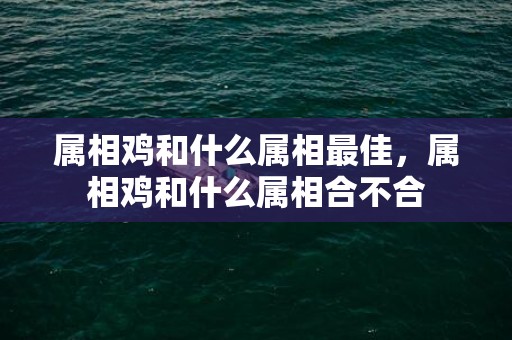 属相鸡和什么属相最佳，属相鸡和什么属相合不合