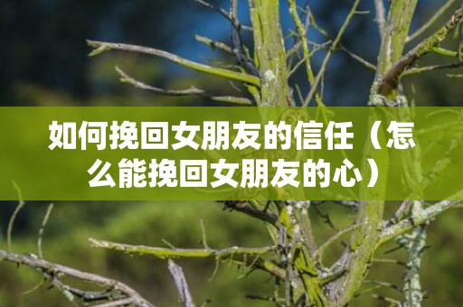 如何挽回女朋友的信任（怎么能挽回女朋友的心）