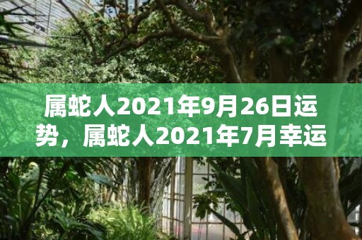 属蛇人2021年9月26日运势，属蛇人2021年7月幸运数字