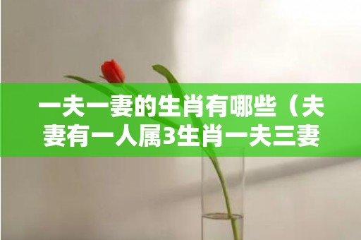 一夫一妻的生肖有哪些（夫妻有一人属3生肖一夫三妻是什么生肖）