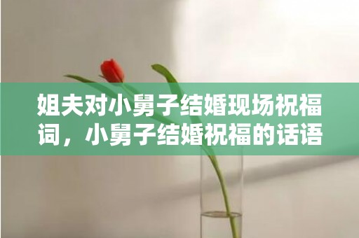 姐夫对小舅子结婚现场祝福词，小舅子结婚祝福的话语