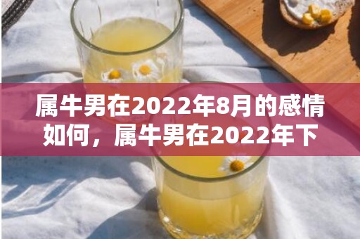 属牛男在2022年8月的感情如何，属牛男在2022年下半年财运平平,感情方面易吃亏