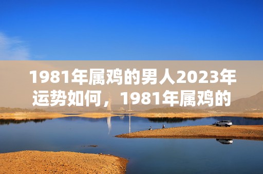 1981年属鸡的男人2023年运势如何，1981年属鸡的吉祥物 布艺平安结确保事事顺利圆满