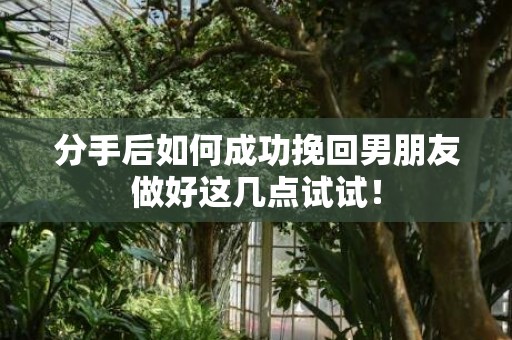 分手后如何成功挽回男朋友做好这几点试试！