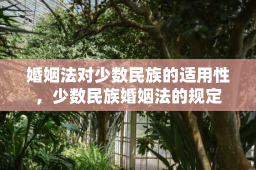 婚姻法对少数民族的适用性，少数民族婚姻法的规定