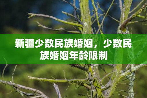 新疆少数民族婚姻，少数民族婚姻年龄限制