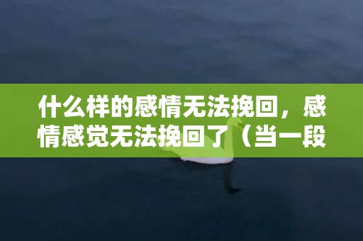 什么样的感情无法挽回，感情感觉无法挽回了（当一段感情无法挽回了怎么办）