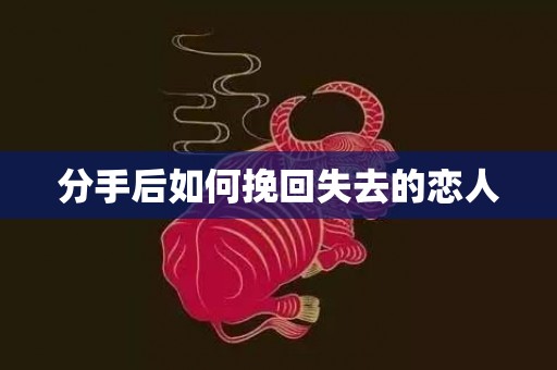 分手后如何挽回失去的恋人