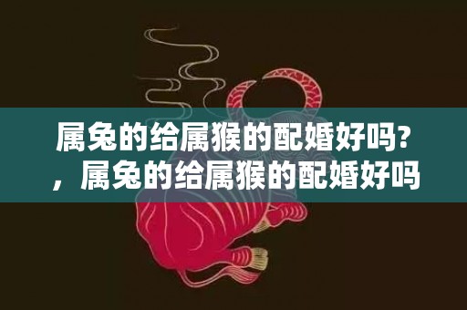 属兔的给属猴的配婚好吗?，属兔的给属猴的配婚好吗