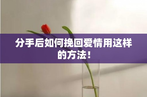 分手后如何挽回爱情用这样的方法！