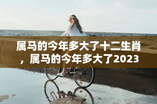 属马的今年多大了十二生肖，属马的今年多大了2023年