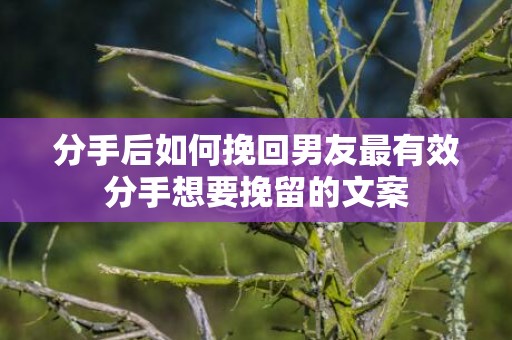 分手后如何挽回男友最有效分手想要挽留的文案