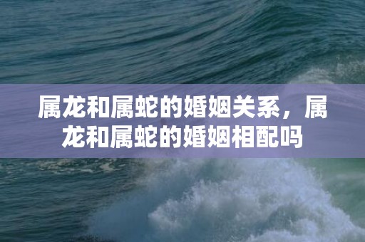 属龙和属蛇的婚姻关系，属龙和属蛇的婚姻相配吗