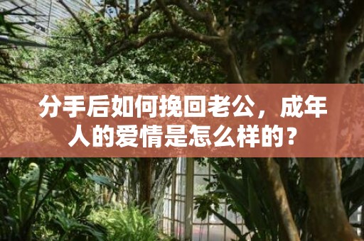 分手后如何挽回老公，成年人的爱情是怎么样的？