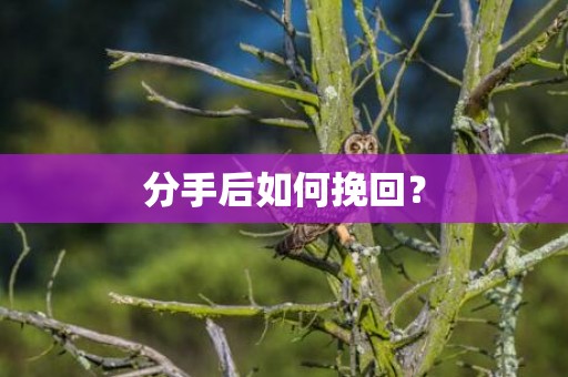 分手后如何挽回？