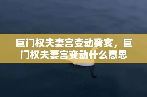 巨门权夫妻宫变动癸亥，巨门权夫妻宫变动什么意思