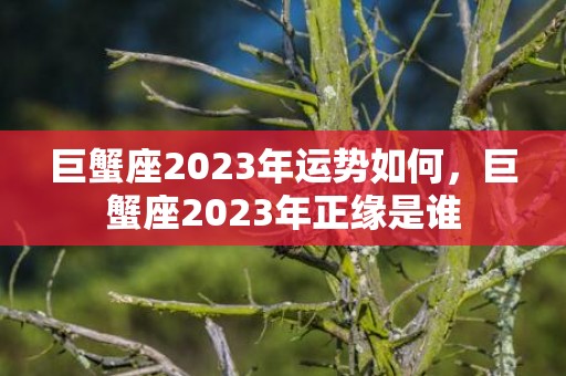 巨蟹座2023年运势如何，巨蟹座2023年正缘是谁