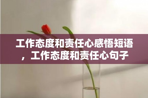 工作态度和责任心感悟短语，工作态度和责任心句子