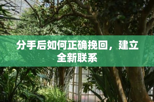 分手后如何正确挽回，建立全新联系