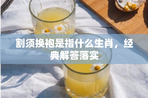 割须换袍是指什么生肖，经典解答落实