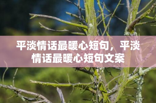 平淡情话最暖心短句，平淡情话最暖心短句文案