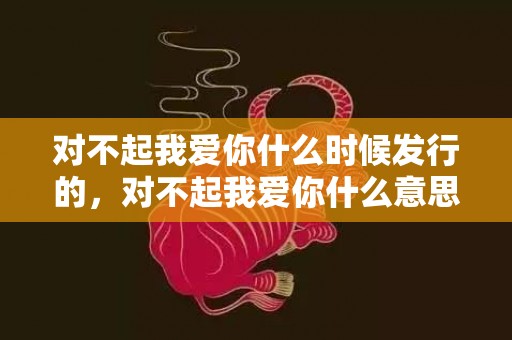 对不起我爱你什么时候发行的，对不起我爱你什么意思