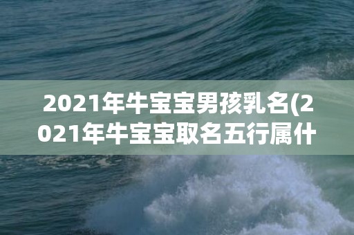 2021年牛宝宝男孩乳名(2021年牛宝宝取名五行属什么最好)