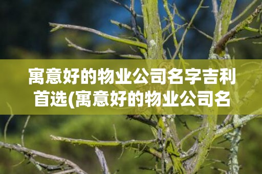 寓意好的物业公司名字吉利首选(寓意好的物业公司名称有哪些)