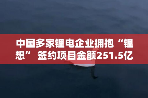 中国多家锂电企业拥抱“锂想” 签约项目金额251.5亿元