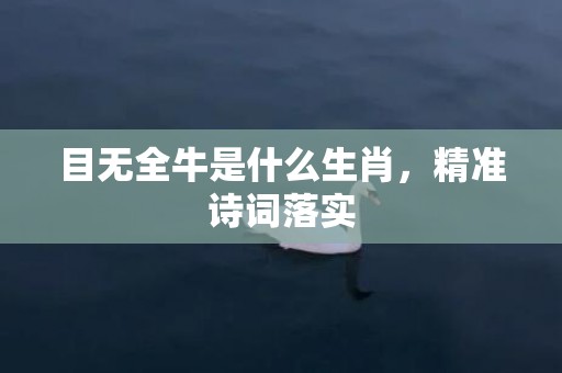 目无全牛是什么生肖，精准诗词落实