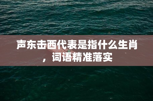 声东击西代表是指什么生肖，词语精准落实