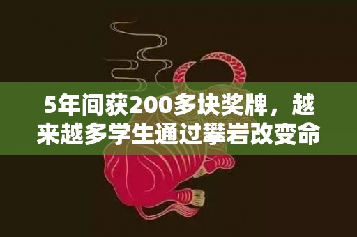 5年间获200多块奖牌，越来越多学生通过攀岩改变命运