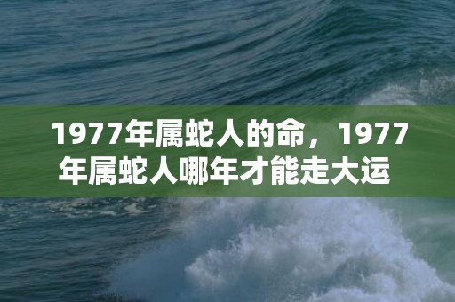 1977年属蛇人的命，1977年属蛇人哪年才能走大运 单身的人有很大可能脱单