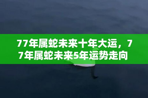 77年属蛇未来十年大运，77年属蛇未来5年运势走向 属蛇人的身体很好