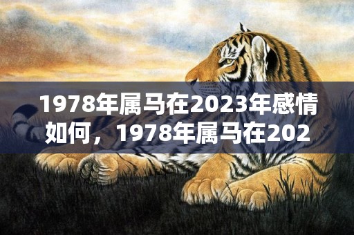 1978年属马在2023年感情如何，1978年属马在2024年全年运势 财运上会有一些机遇