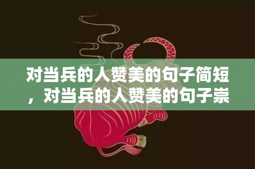 对当兵的人赞美的句子简短，对当兵的人赞美的句子崇拜