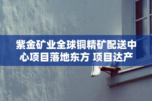 紫金矿业全球铜精矿配送中心项目落地东方 项目达产后年产值将达260亿元