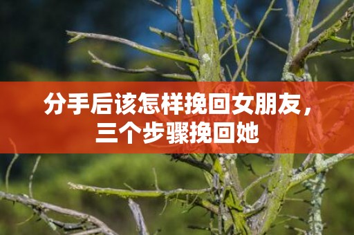 分手后该怎样挽回女朋友，三个步骤挽回她