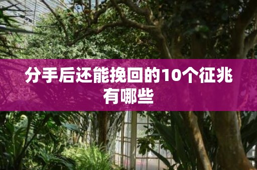 分手后还能挽回的10个征兆有哪些