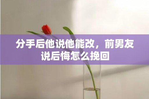 分手后他说他能改，前男友说后悔怎么挽回