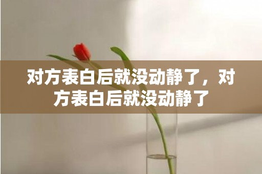 对方表白后就没动静了，对方表白后就没动静了