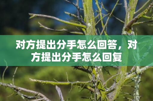 对方提出分手怎么回答，对方提出分手怎么回复