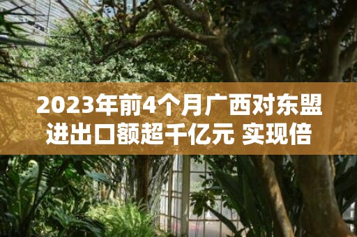 2023年前4个月广西对东盟进出口额超千亿元 实现倍增