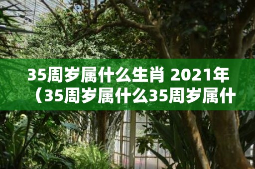 35周岁属什么生肖 2021年（35周岁属什么35周岁属什么生肖今年2023）