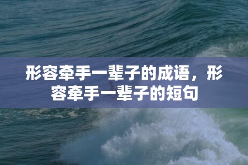 形容牵手一辈子的成语，形容牵手一辈子的短句