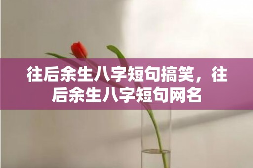 往后余生八字短句搞笑，往后余生八字短句网名