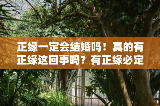 正缘一定会结婚吗！真的有正缘这回事吗？有正缘必定会成婚吗