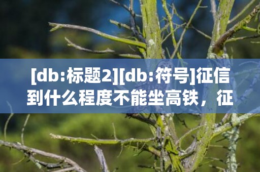 [db:标题2][db:符号]征信到什么程度不能坐高铁，征信到什么程度不能买房