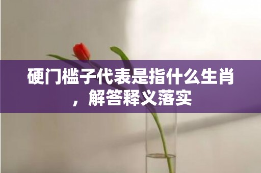 硬门槛子代表是指什么生肖，解答释义落实